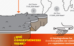 Alt Image Text
